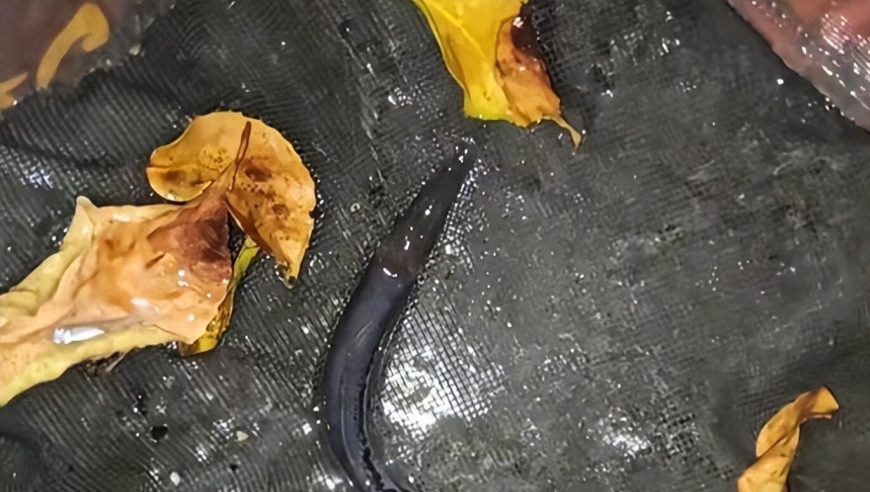 香港挂牌每天免费公开,鲍威尔打压降息预期,权威独家讨论与热门话题_正式版V6.52